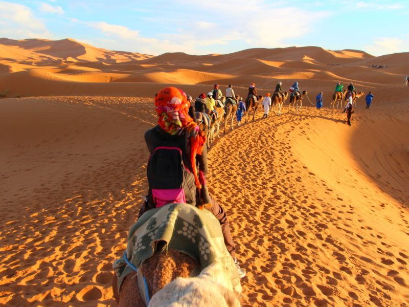 Canva-Camels-on-a-Caravan-in-the-Desert-1-1