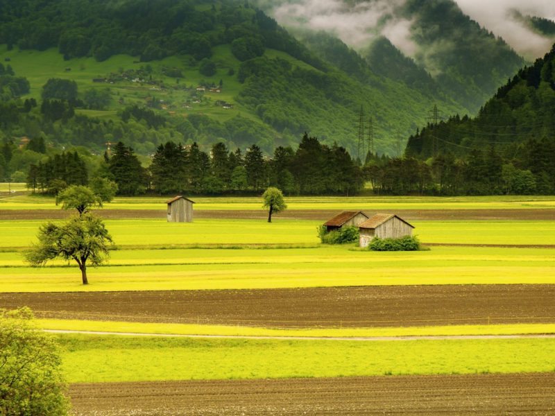 Canva-Meadow-Field-Landscape-1-1-scaled-1